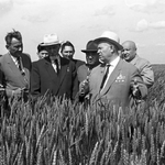 Совхозно-колхозная система в первой половине 1960-х годов: проблемы развития и антикризисные рекомендации ученых-экономистов