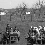 Some Aspects of the Struggle for “Socialist Legality” in Agriculture in the Regions of the Central Black Earth Region in the First Post-War Years